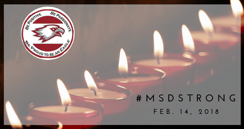 MSDSTRONG