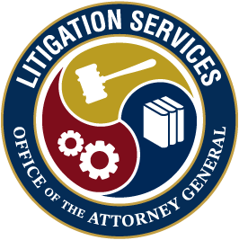 Litigation Services